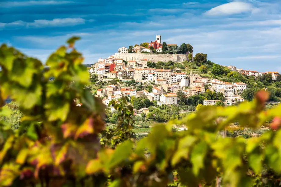 Traditional Istrian cuisine
