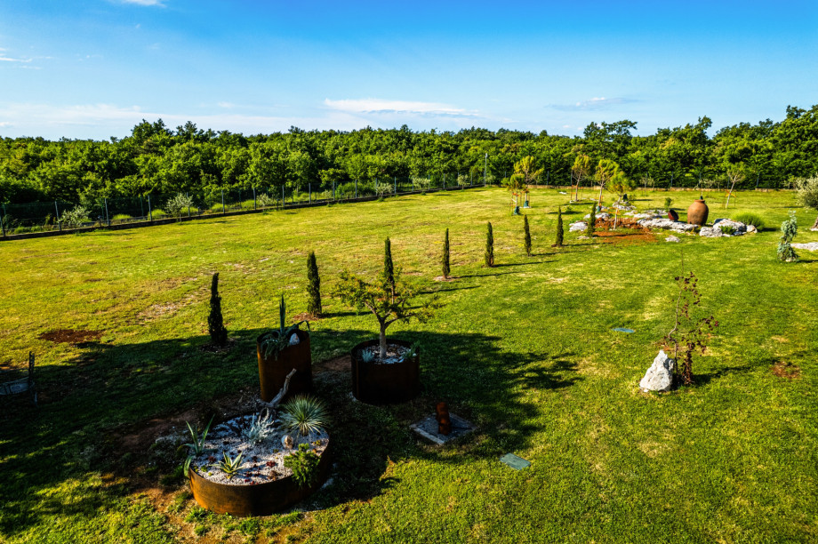 Villa Antea, Istra (7)