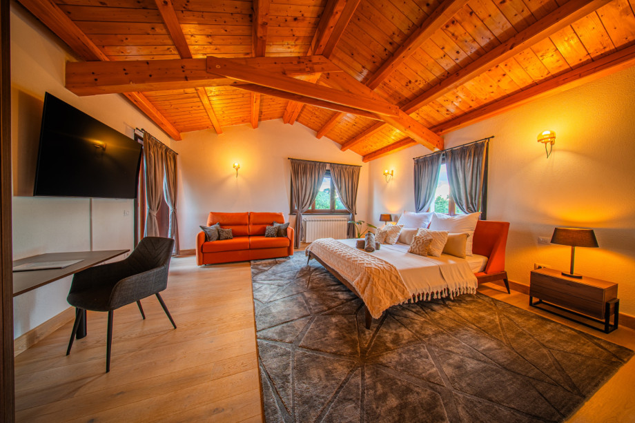 Villa Antea, Istra (4)