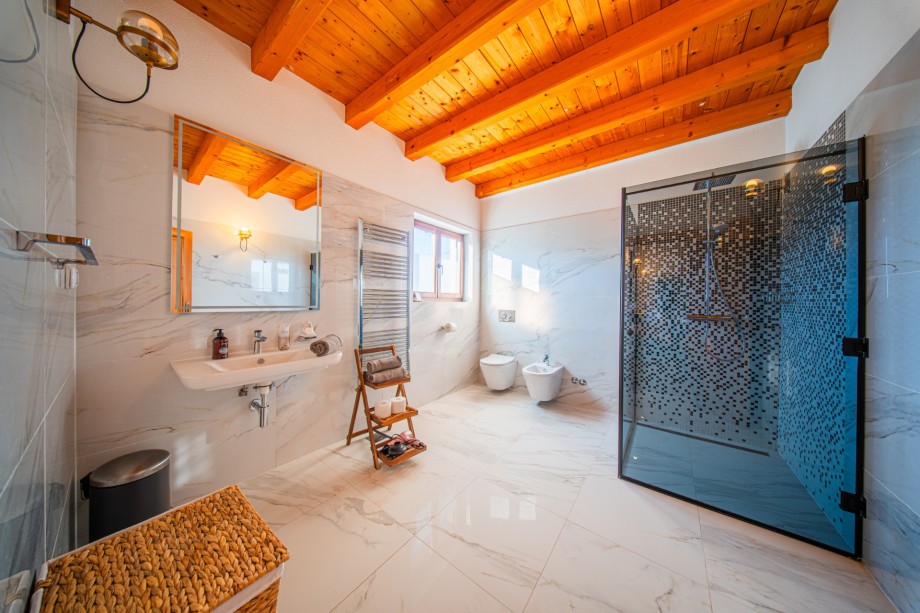 Villa Antea, Istra (49)