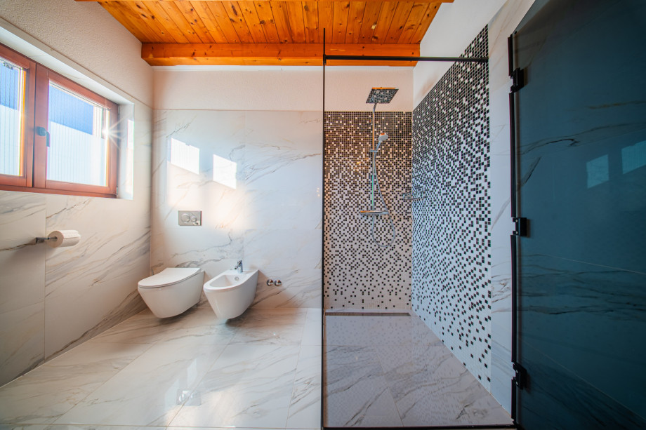 Villa Antea, Istra (51)