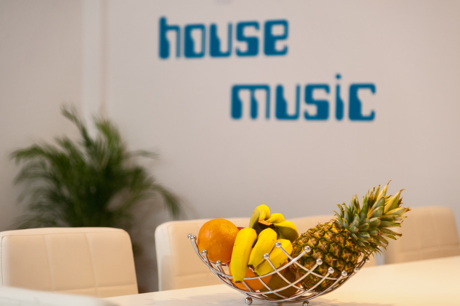 Villa_Majestic_Croatia (8)