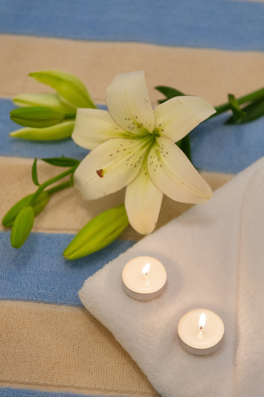 Villa_Majestic_Croatia (3)