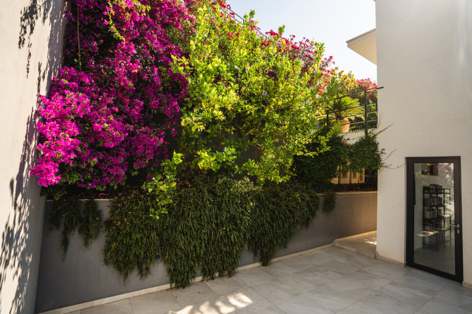 Villa Sanserea   Update (1)