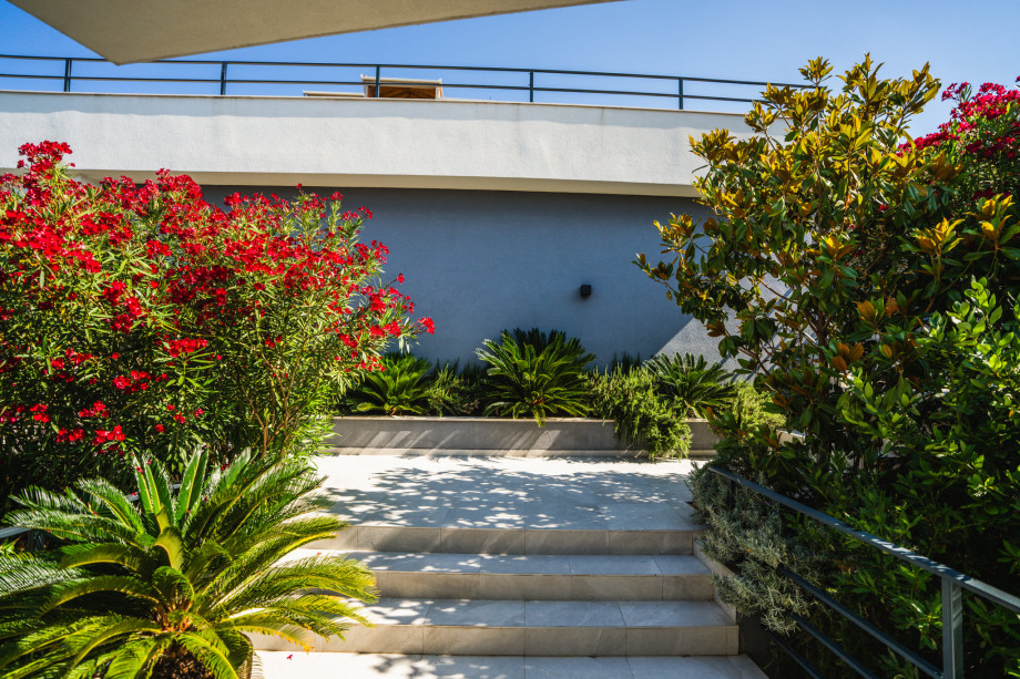 Villa Sanserea   Update (13)
